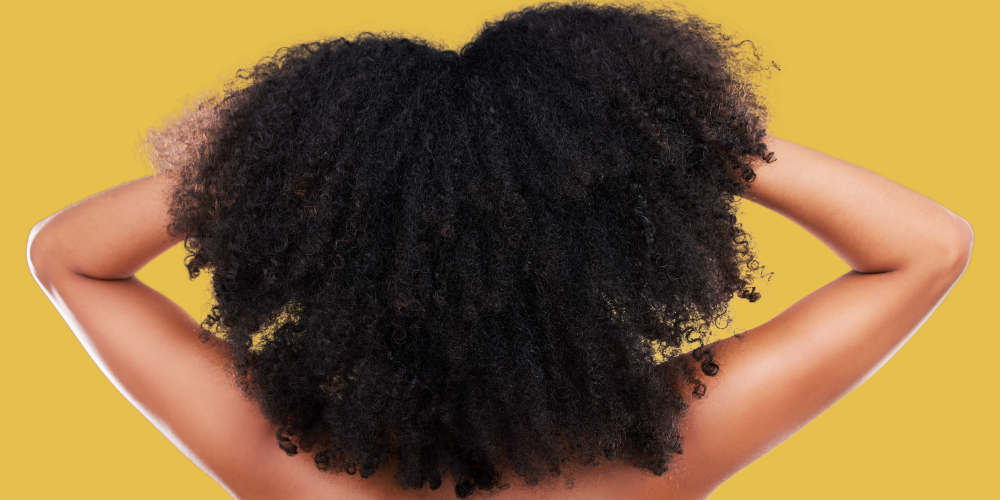 Repair Dry Hair Without Guessing What It Needs