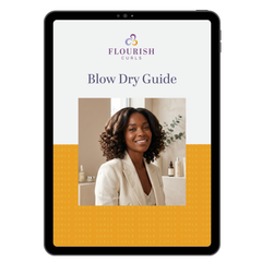 Blow Dry Guide